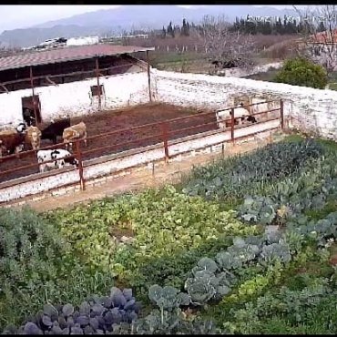 Müşteri 17