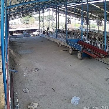 Müşteri 33