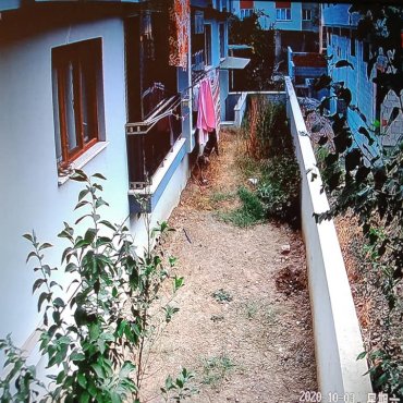 Huzur Apartmanı