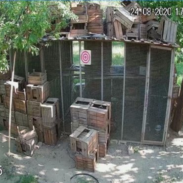 Müşteri 9